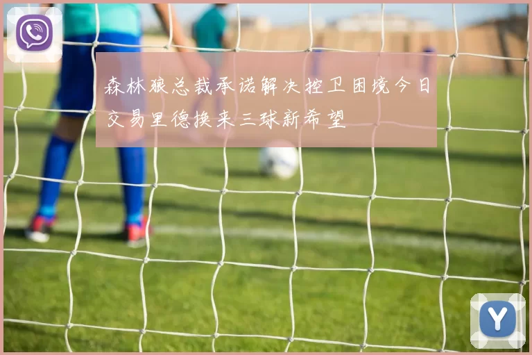 森林狼总裁承诺解决控卫困境今日交易里德换来三球新希望