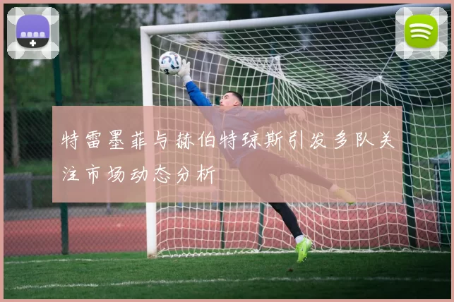 特雷墨菲与赫伯特琼斯引发多队关注市场动态分析