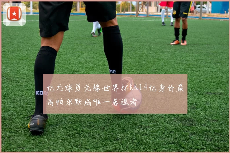 亿元球员无缘世界杯KK14亿身价最高帕尔默成唯一落选者